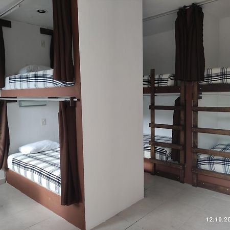 The All Inclusive Hostel - Food, Drinks And Transportation To The Beach And Cenotes تولوم الغرفة الصورة