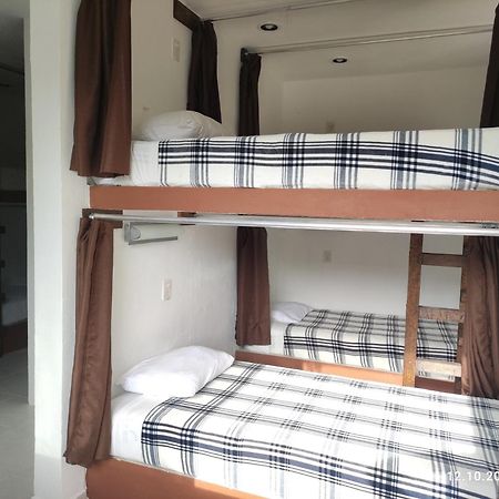 The All Inclusive Hostel - Food, Drinks And Transportation To The Beach And Cenotes تولوم الغرفة الصورة